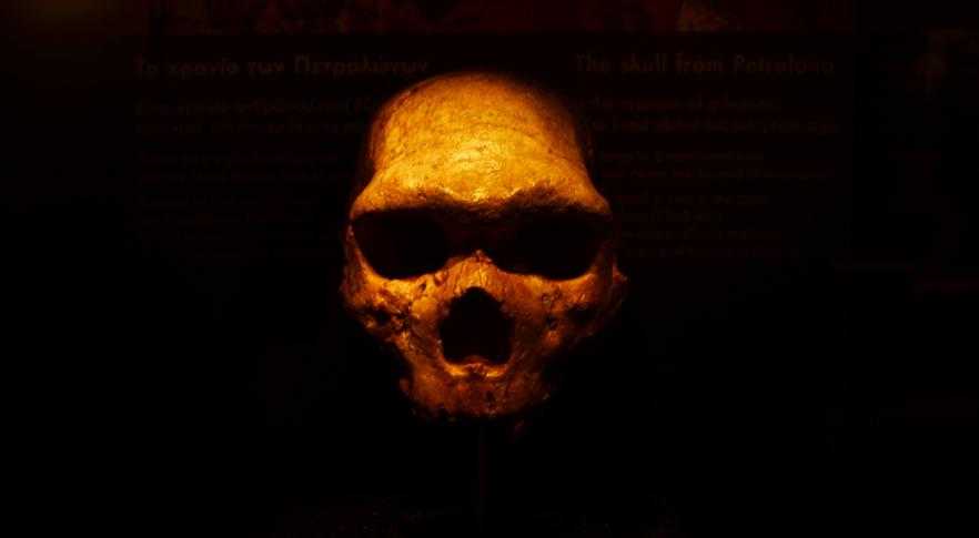 Reconstruyen el rostro de una mujer neandertal