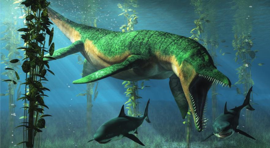 Encuentran al megadepredador marino más antiguo conocido